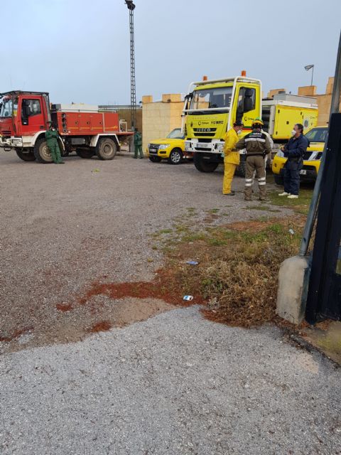 Las brigadas forestales realizan tareas de desinfección en Bullas