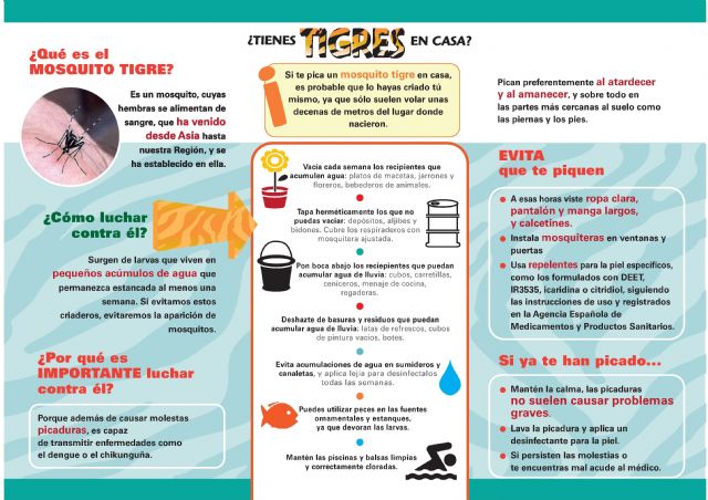 Información de interés sobre el mosquito tigre