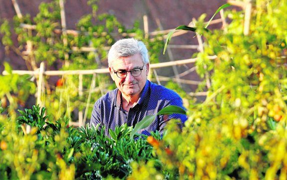 José María Egea Fernández pregonero de las Fiestas Patronales de Bullas