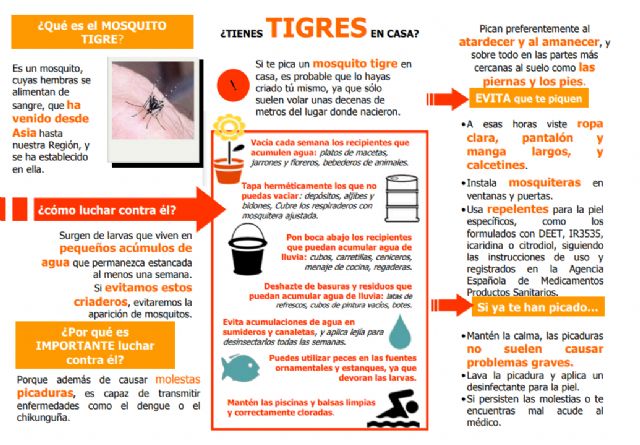 Consejos para evitar la proliferación de mosquito tigre en la Región