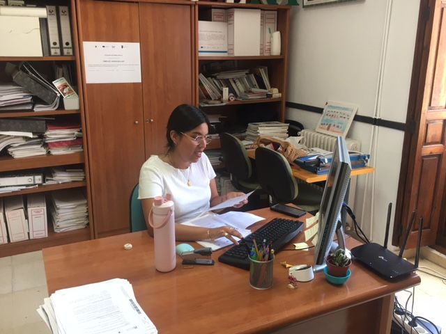 Finalización del programa mi primer empleo