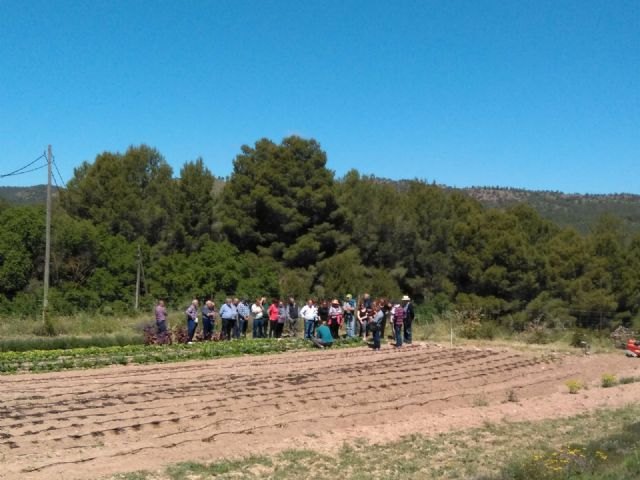 Treinta y cinco personas participaron en la primera de las actividades de ´Junio Verde´ en la visita a la Almajara del Sur y los Microhuertos Municipales