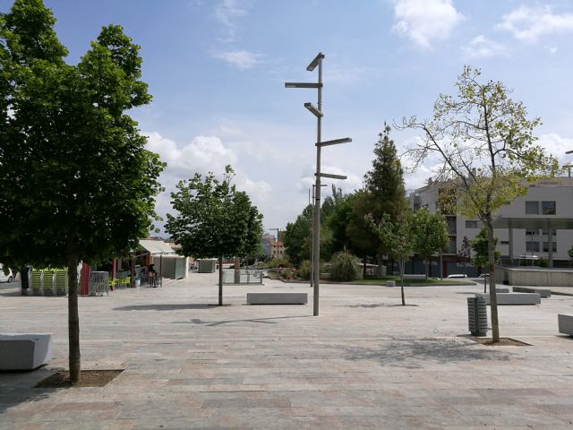 Saneamiento de árboles y arbustos del término municipal