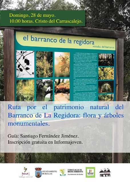 Excursión al Barranco de la Regidora de Bullas