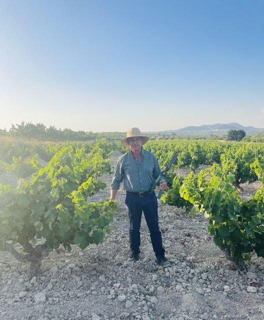 Pedro Sánchez Pujante, nombrado Maestro del Vino de Bullas 2025