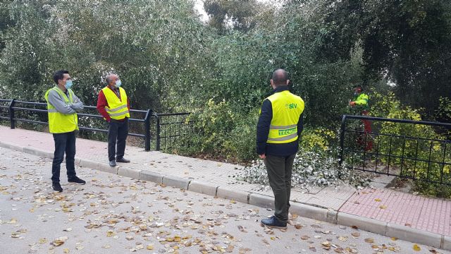 Comienza el desbroce, limpieza y saneamiento en la rambla de 'La cañá' de La Copa