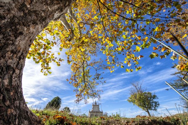 La Concejalía de Cultura entrega premios a los ganadores de los concursos de fotografía 'Bullas en otoño', artistas locales y reconoce a los participantes de la Ruta de Belenes con una figura de Belenes Serrano