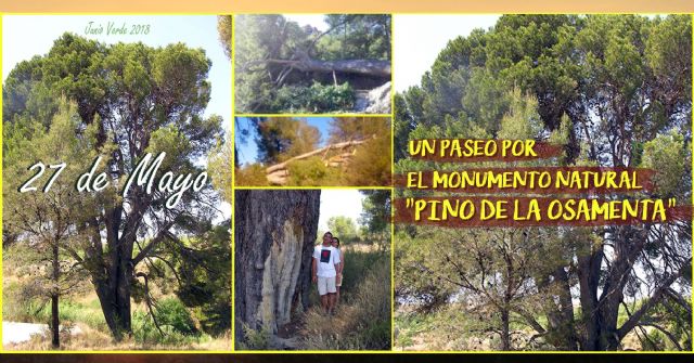 Un taller de construcción de casas-nido para pájaros y una ruta de senderismo son las próximas actividades de Junio Verde