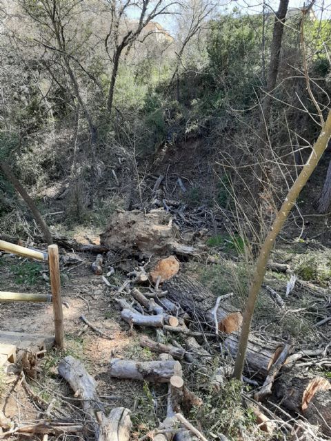 Labores de conservación medioambiental en el Barranco de La Regidora