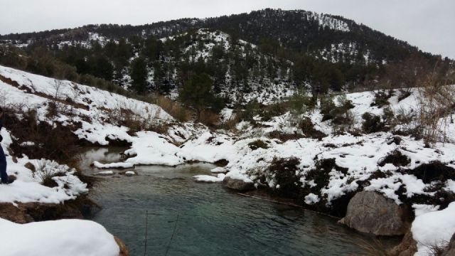 El Concejal de Medioambiente insistirá a la CHS para la recuperación del caudal ecológico