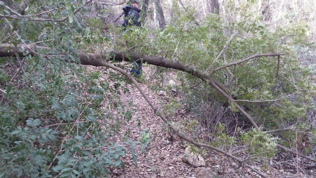 Trabajos de poda y recogida de ramas como consecuencia del temporal de nieve