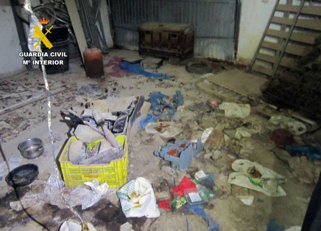 La Guardia Civil investiga en Bullas a la propietaria de un perro por delito de abandono animal