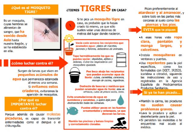 Consejos para evitar la proliferación de mosquito tigre en la Región