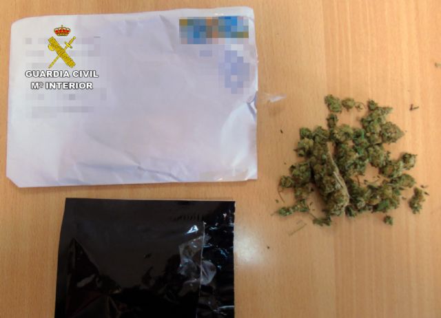 La Guardia Civil desmantela una organización criminal dedicada a la producción y distribución internacional de cannabis