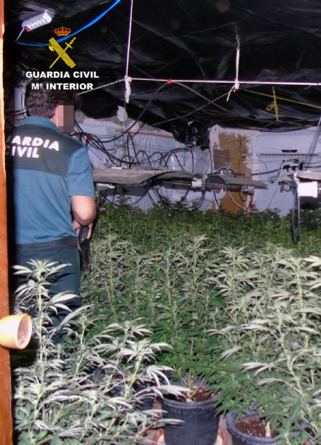 La Guardia Civil desmantela una plantación indoor de marihuana en Bullas